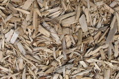biomass boilers Sydallt